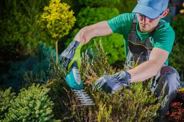 landscaping services Mansura